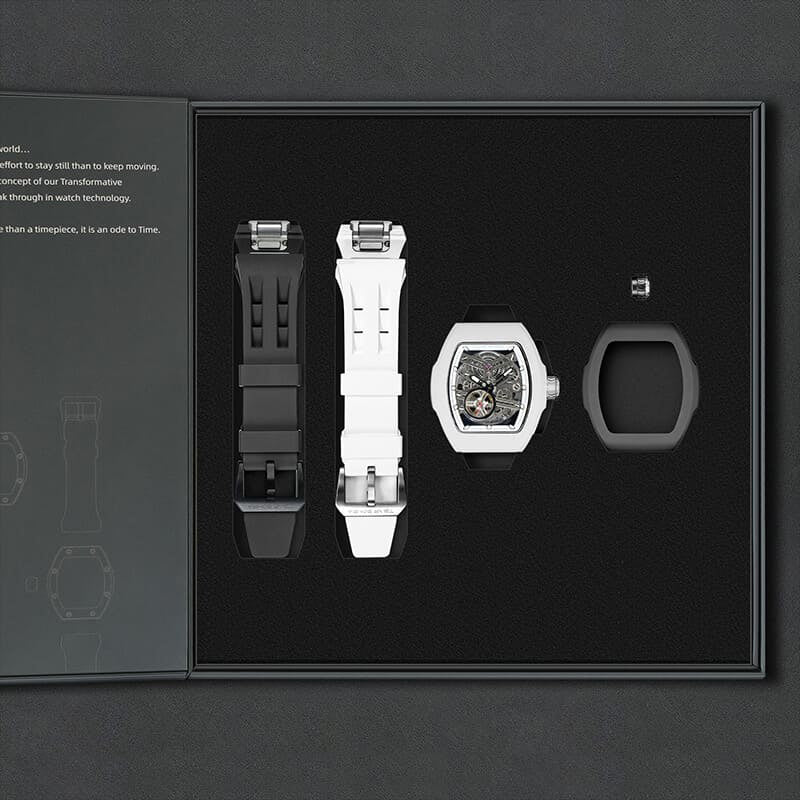 Atomic-Interchangeable Automatic Watch Twin